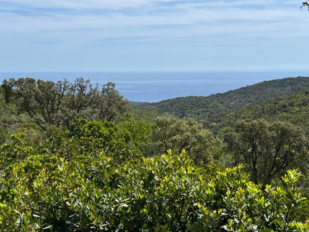 - une vue depuis le sommet d'une montagne arborée dans l'établissement Cosy Appartement Sari Solenzara, Jacuzzi, à Sari-Solenzara