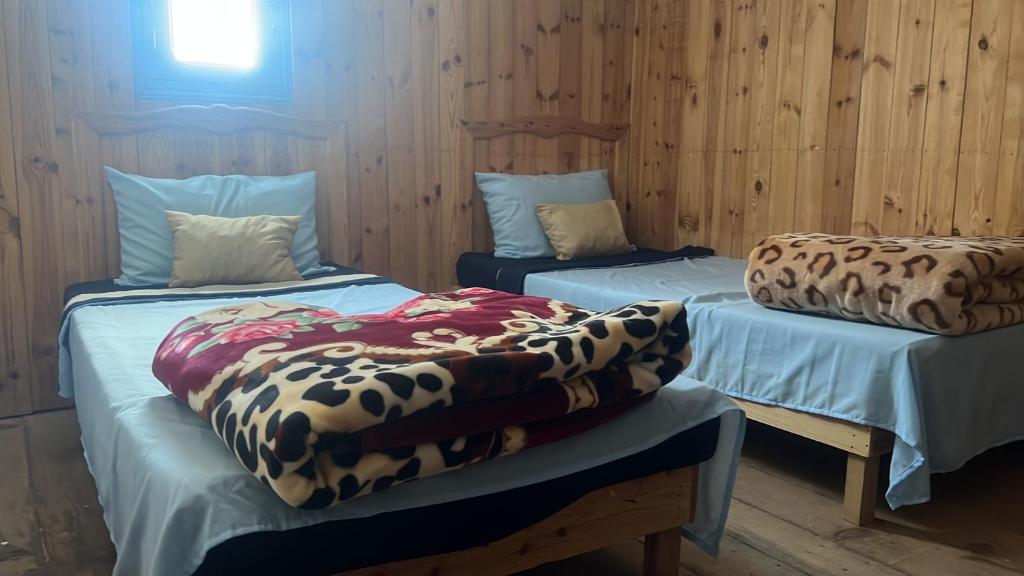 2 camas en una habitación con paredes de madera en Gîte Détape Affaska, en Izilane