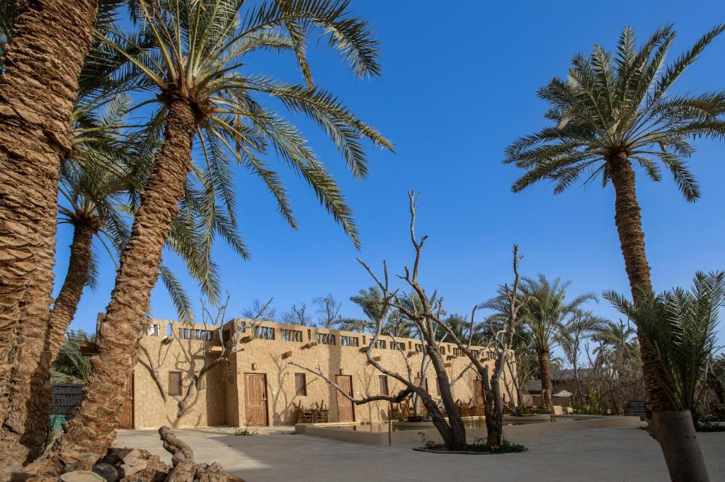 Fotografie z fotogalerie ubytování Olive Garden House Siwa v destinaci Siwa
