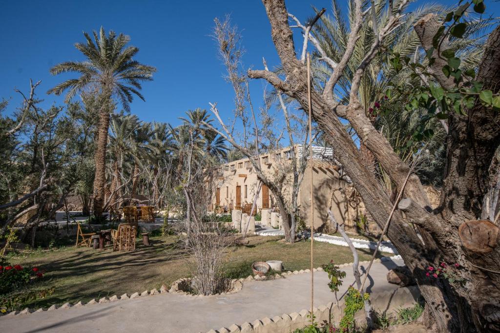 Fotografie z fotogalerie ubytování Olive Garden House Siwa v destinaci Siwa