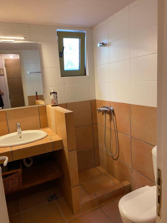 Koupelna v ubytování Askalosia villa