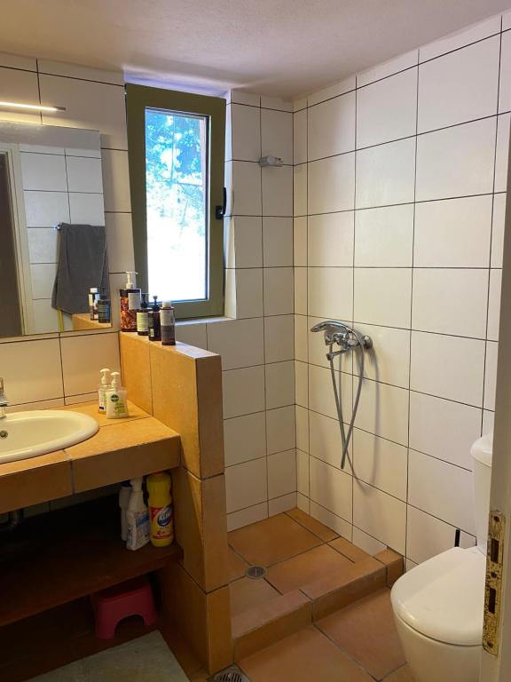 a bathroom with a shower and a sink and a toilet at Askalosia villa in Agios Georgios