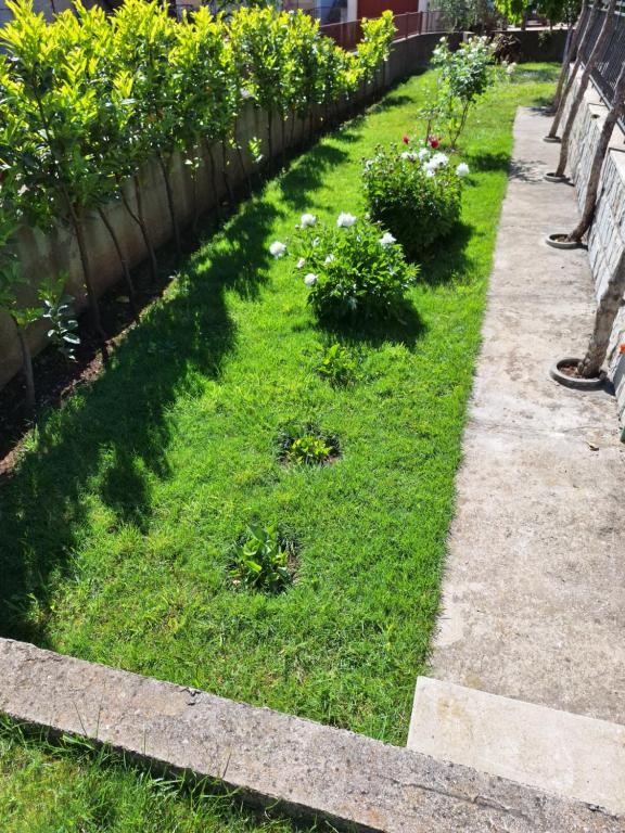un jardin avec pelouse et fleurs à côté d'une clôture dans l'établissement Apartment Slobo, à Trebinje