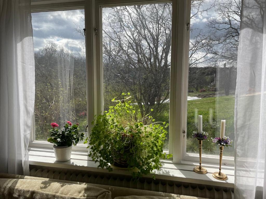 Zahrada ubytování Karlshamn 1 Sankt Anna Söderköping