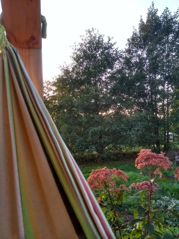 Zahrada ubytování Entspannung im Zirkuswagen: außergewöhnliche und liebevoll eingerichtete Glamping-Unterkunft im Grünen