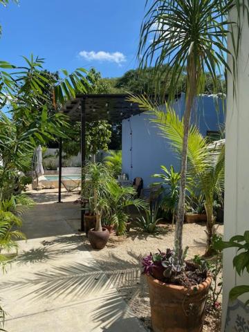 un jardín con palmeras y plantas en un edificio en Departamento cocoonning en "Casa Livia" piscina y jardín, en Mérida