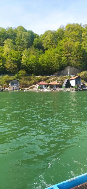 a green body of water with houses in the background at Kuća za odmor Drina in Zvornik