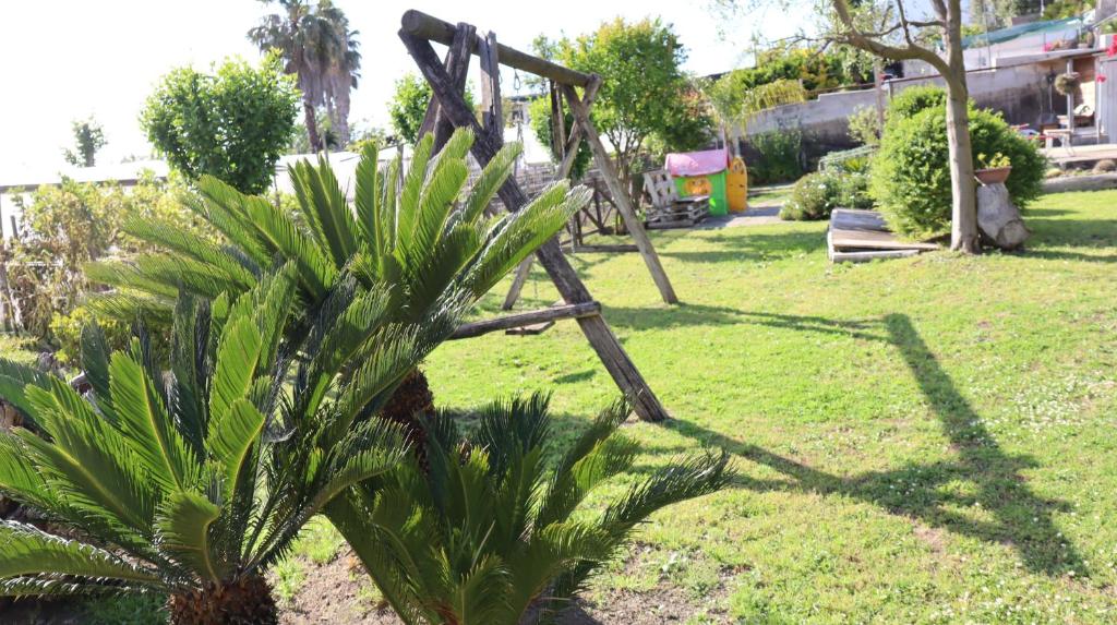 einem Holzstuhl neben einer Pflanze im Hof in der Unterkunft Il giardino di Mary in Pompei