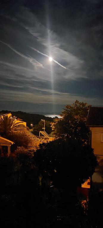 Naturlandskabet i nærheden af lejligheden