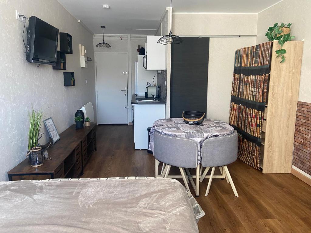 Μια τηλεόραση ή/και κέντρο ψυχαγωγίας στο Jolie studio Saint CYPRIEN 100m de la plage commerce et animation