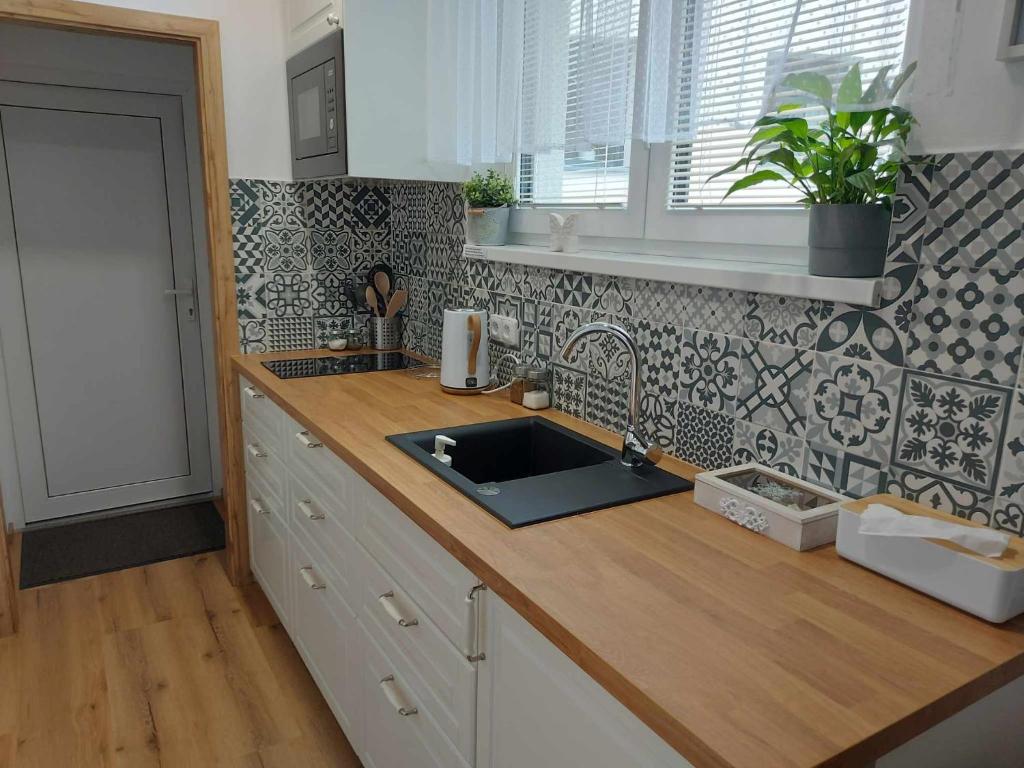 Kuchyň nebo kuchyňský kout v ubytování Apartmány Máchovo jezero