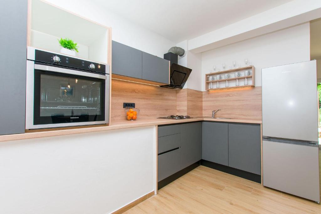 Kuchyň nebo kuchyňský kout v ubytování Apartment Petea