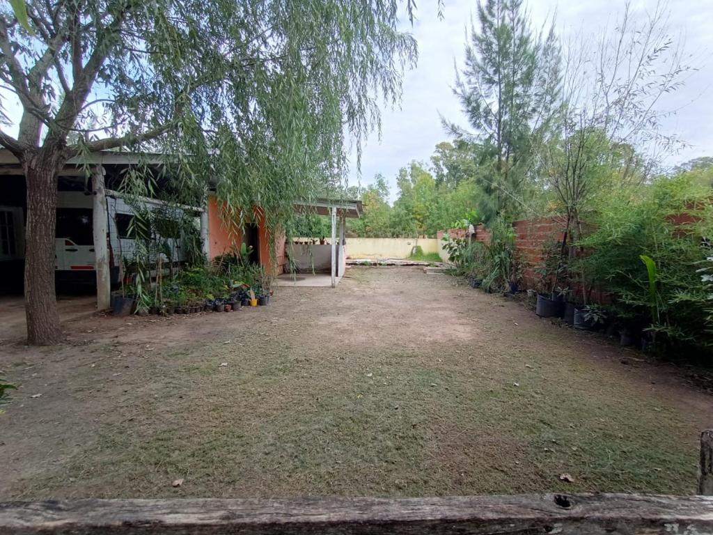 une cour vide avec un arbre et un bâtiment dans l'établissement Cabañas El Parque, à Las Flores