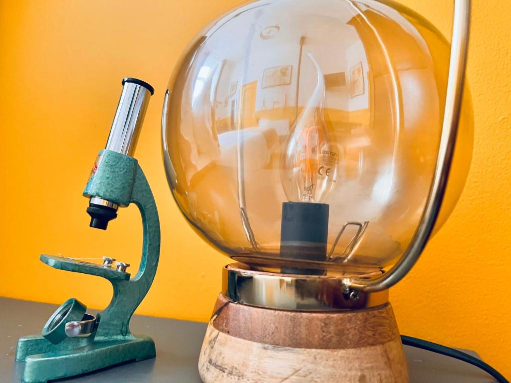 La Récréation - Chambres et Appartements - 7