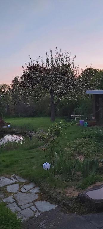 a garden with a tree and a pond at Haus Am Teich Oetjens in Weilburg_Gaudernbach