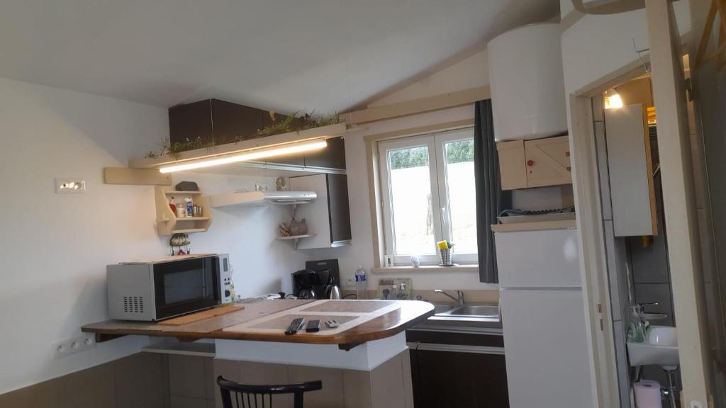 een kleine keuken met een wastafel en een magnetron bij Het huisje in de velden in Matton-et-Clémency