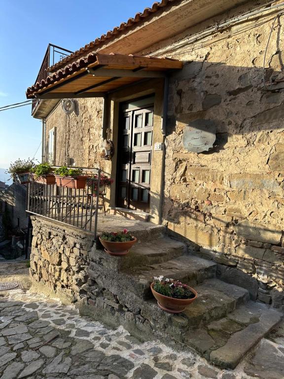 ein Steinhaus mit zwei Blumentöpfen vor einer Tür in der Unterkunft Domus Petra in Rocca Cilento
