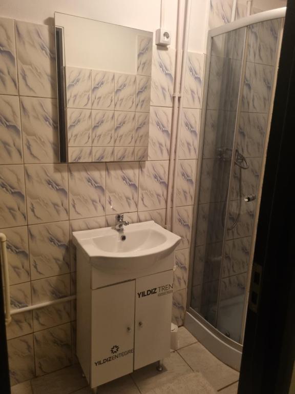 W łazience znajduje się umywalka i prysznic. w obiekcie Shelter Michelle House w mieście Rovinari
