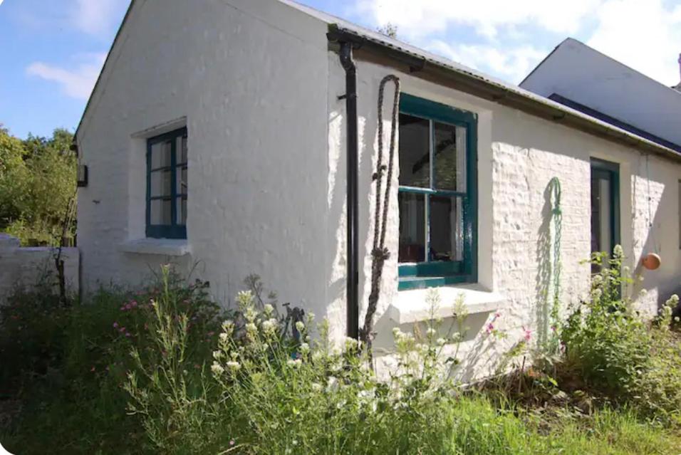 a white house with a blue window at Tiny Cosy Snug in Pembrokeshire