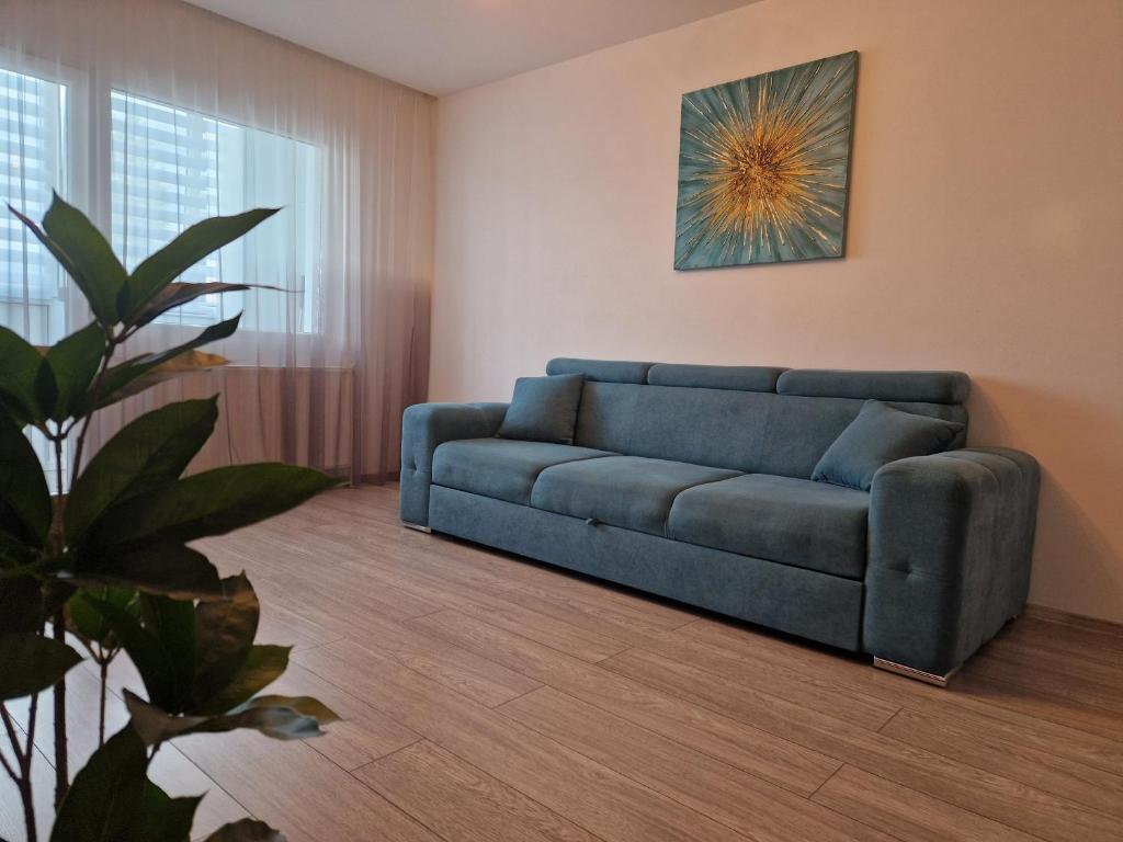 a blue couch in a living room with a plant at Turquoise apartment in Petroşani