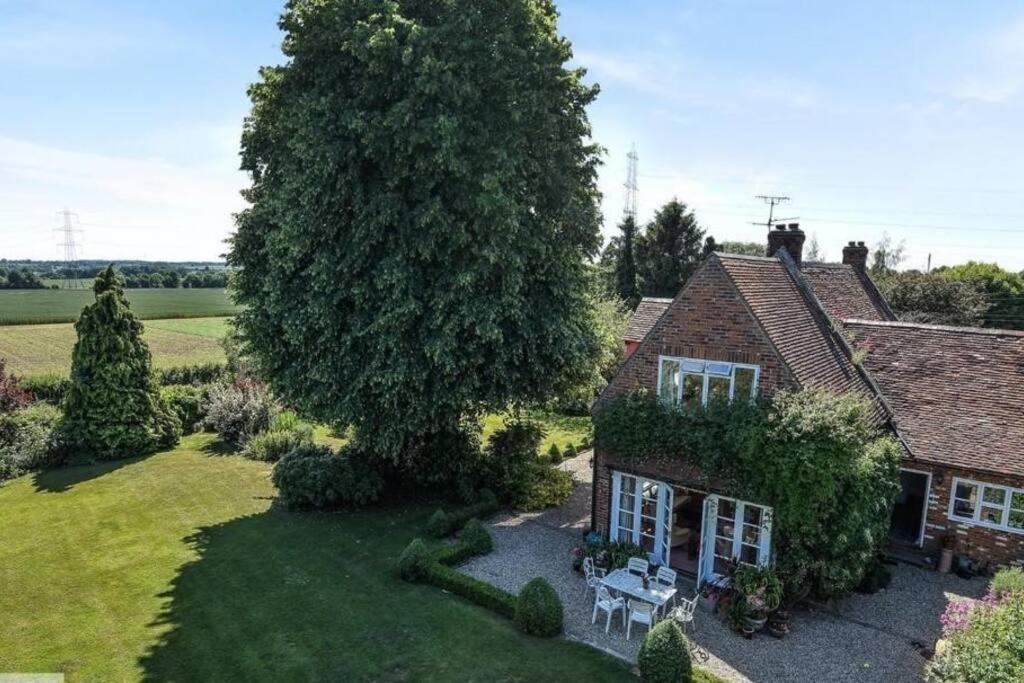 una vista aérea de una casa con un gran árbol en Old school house surrounded by countryside en Earls Colne