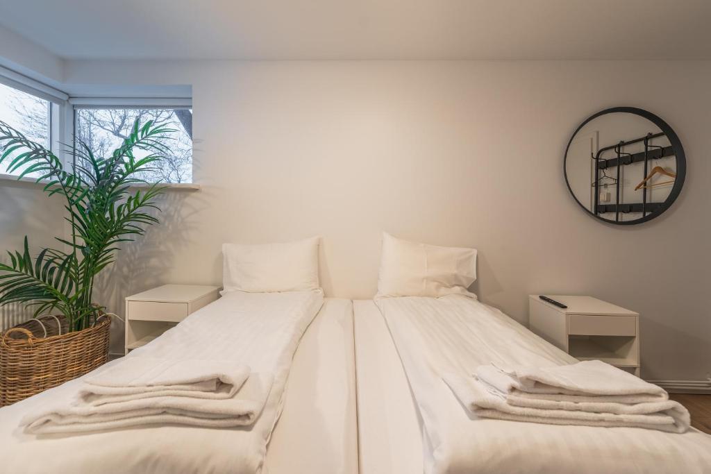 Day Dream Soleyjargata Rooms & Apartments - Budget Double Room