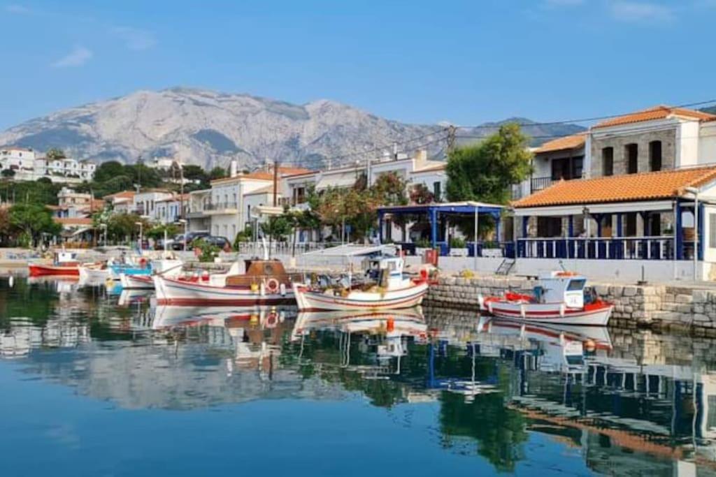 a group of boats are docked in a harbor at Oleander loft in Ríva