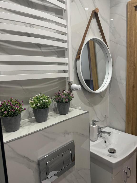 Mario Apartments #1 - 10