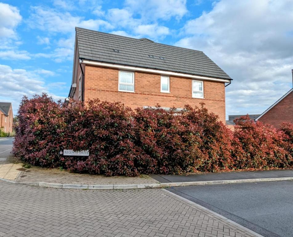 a brick house with red bushes in front of a street at Modern Comfy 3 Bed Home - Free 2 space driveway and free road parking in Derby