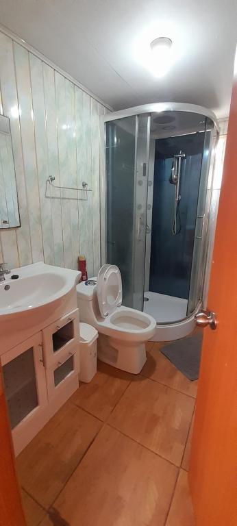 uma casa de banho com um chuveiro, um WC e um lavatório. em Cabañas Don Esteban em Ancud