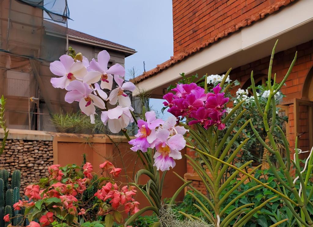 een groep bloemen voor een huis bij Orchid Gardens; Studio Apartment, minimalist in Kampala