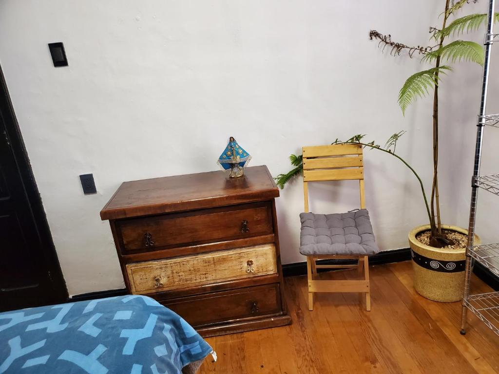 In the heart of Rome - One-Bedroom Apartment
