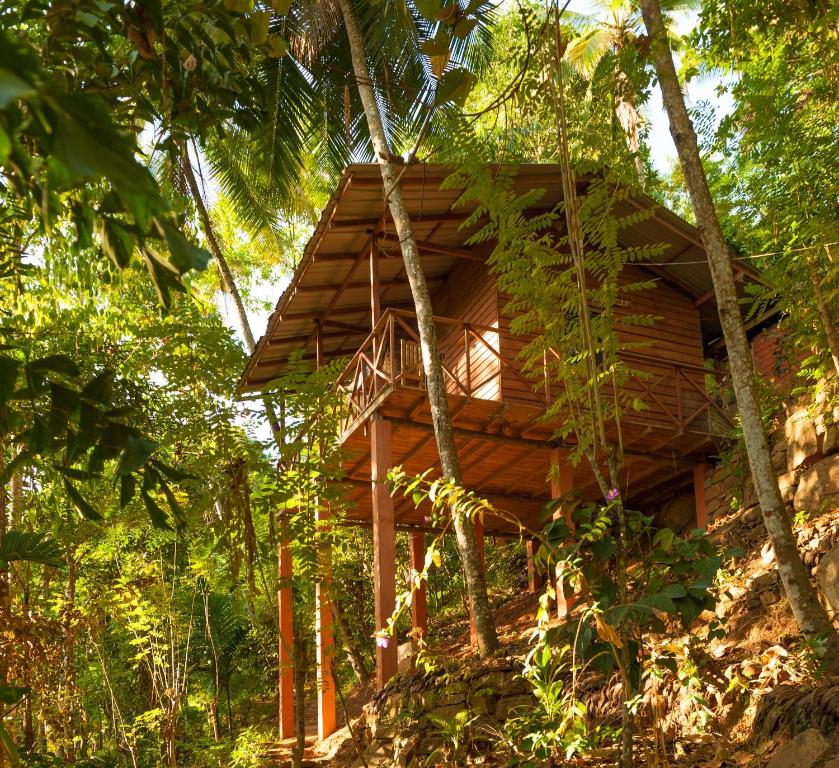 une cabane dans les arbres au milieu de la forêt dans l'établissement Polwaththa Eco Lodges, à Digana