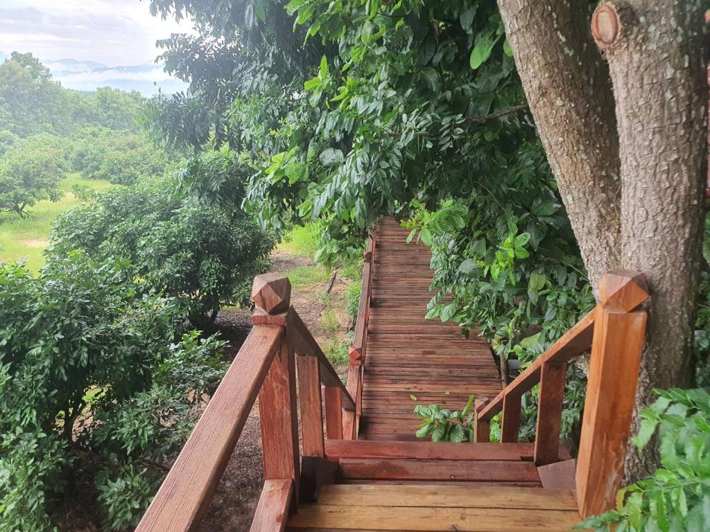 Zahrada ubytování Napahong Treehouse นาป่าฮง