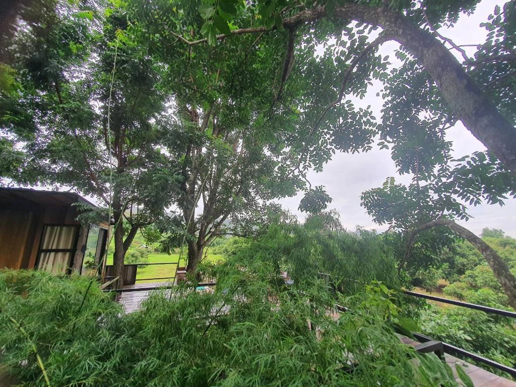 Zahrada ubytování Napahong Treehouse นาป่าฮง