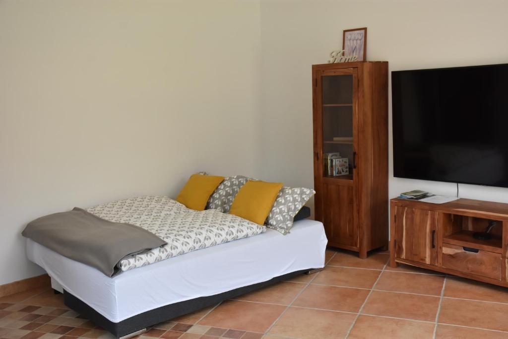 TV a/nebo společenská místnost v ubytování Guest House Štruc