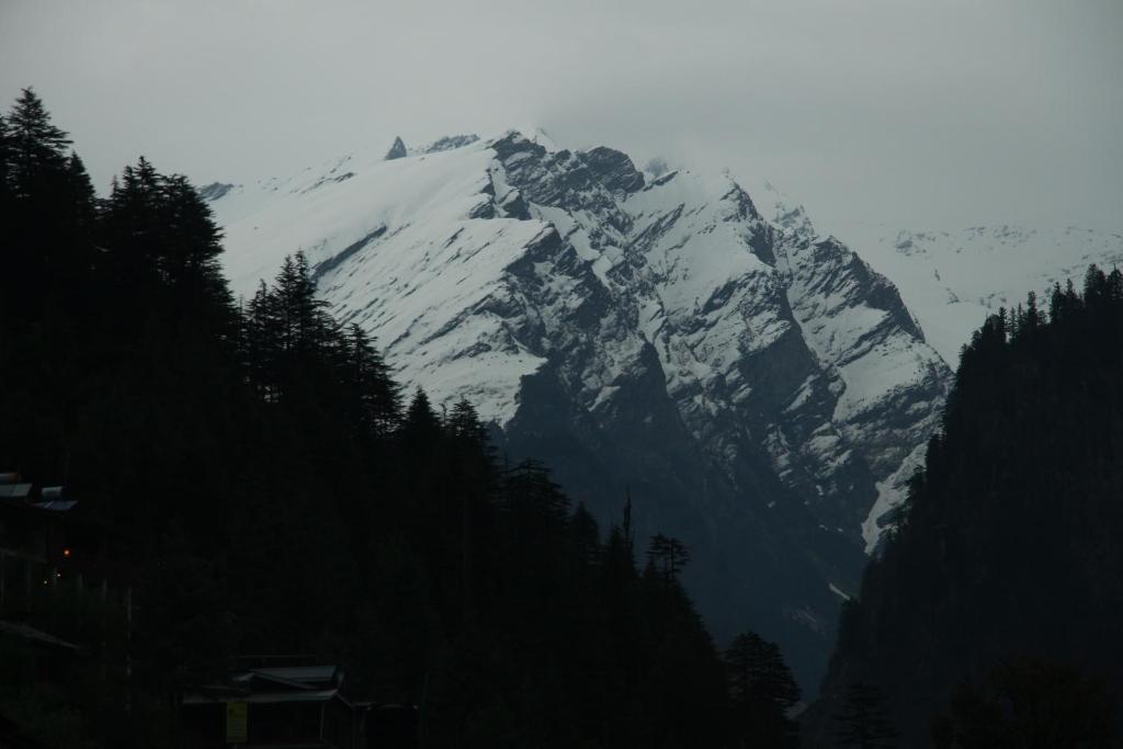 a snow covered mountain with trees in front of it at Drifters Inn - The Hidden Tribe in Manāli