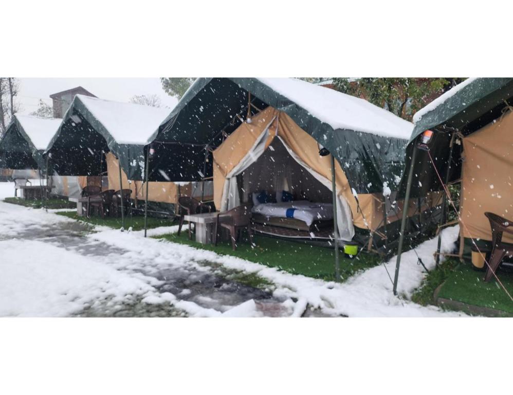 een groep tenten in de sneeuw bij Snowber resorts, Jammu and Kashmir in Rezan