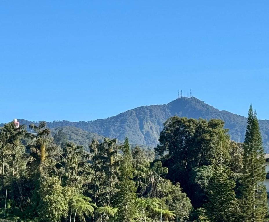 uma vista para uma montanha com árvores no primeiro plano em Gold Crest Cameron Highlands em Tanah Rata