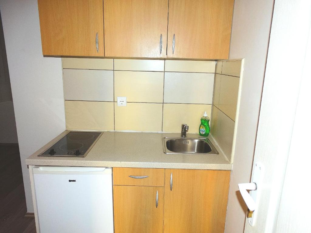 a small kitchen with a sink and wooden cabinets at Vila Jenic in Soko Banja