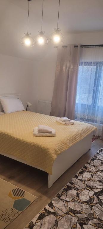 Casa Maria Sarata Monteoru - Chambre Double Standard
