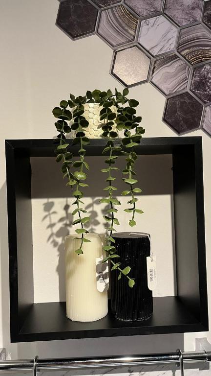 Fotografie z fotogalerie ubytování Studio John's v destinaci Blagoevgrad
