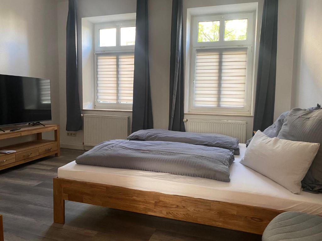 a bedroom with a bed and a tv and two windows at Appartment Maxi 3 Personen, Zentrale Lage, ruhige Nebenstraße in Dessau