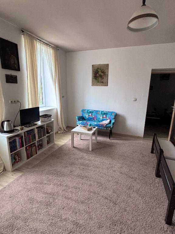 TV a/nebo společenská místnost v ubytování Casa Trandafirilor