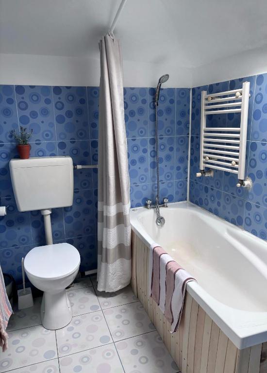 Koupelna v ubytování Casa Trandafirilor