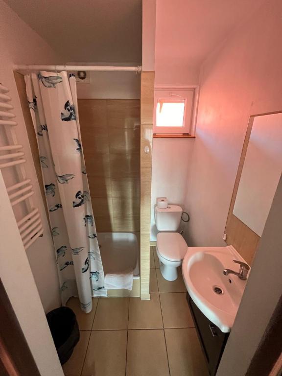 Koupelna v ubytování Ranczo u Korby