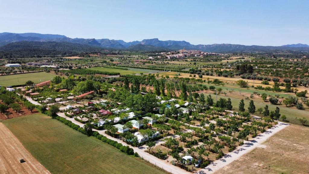 una vista aérea de un jardín con árboles en Camping Els Ports en Arnes