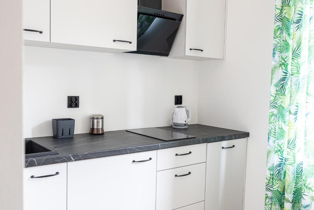 Apartamenty GoMiś Zakopane - 13