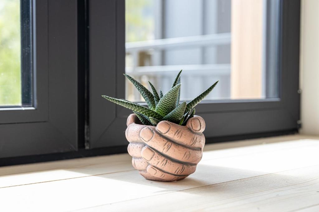 Apartamenty GoMiś Zakopane - 2