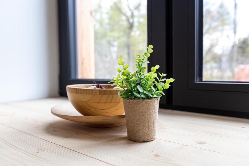 Apartamenty GoMiś Zakopane - 5